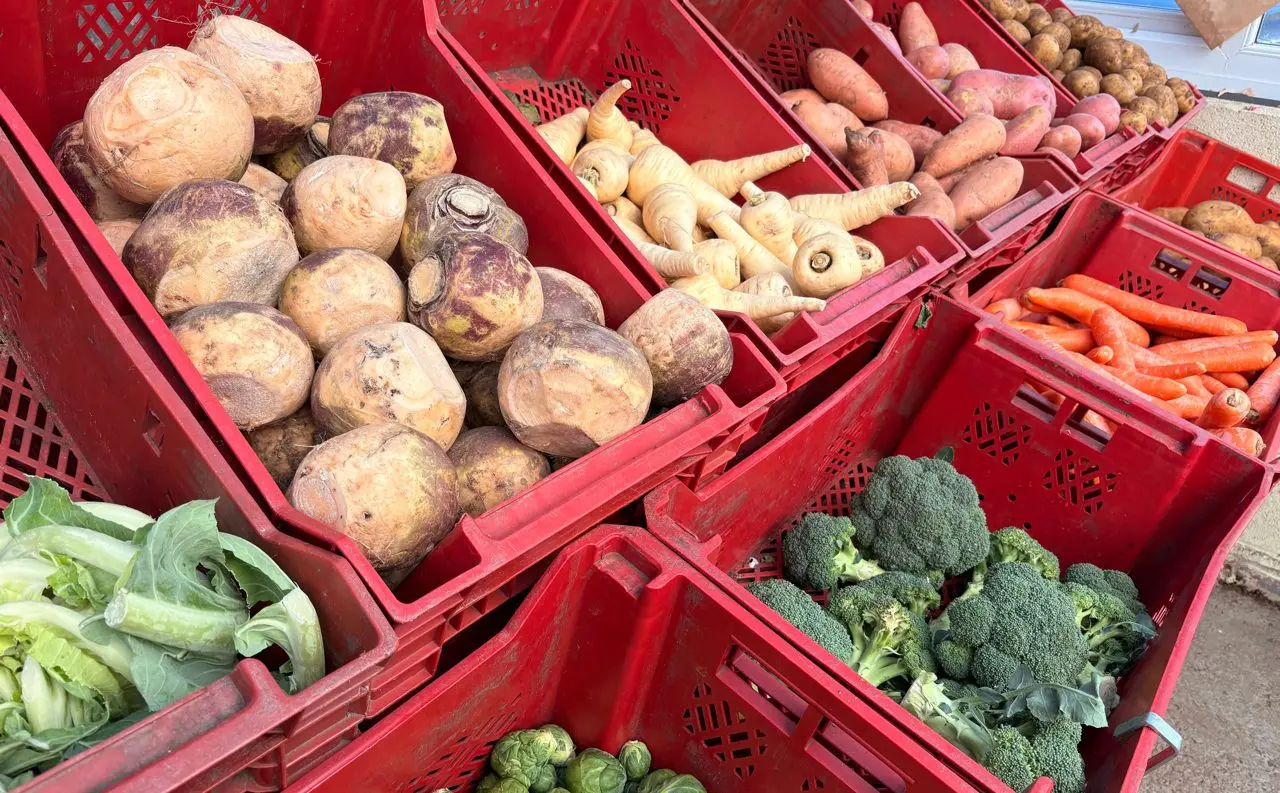 Jones Farm Shop