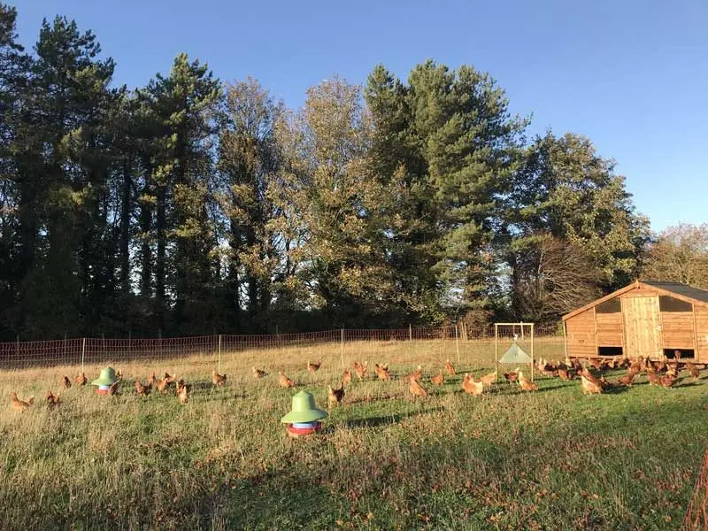 Brown's at Park Farm