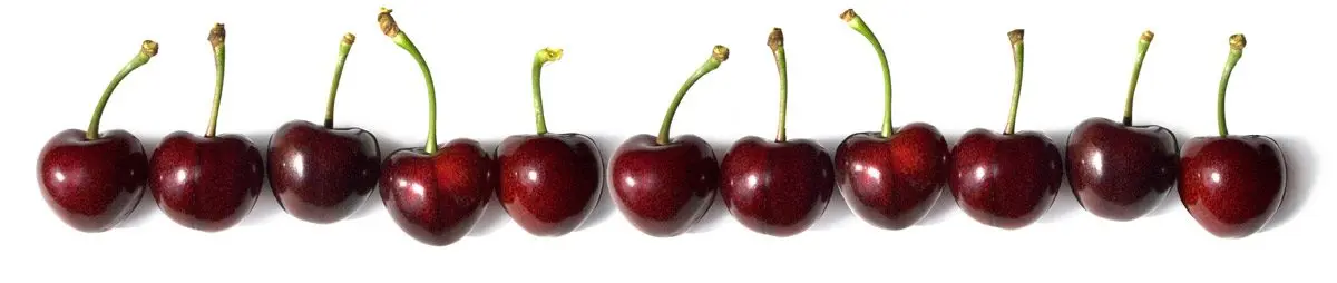 High House Fruit Farm