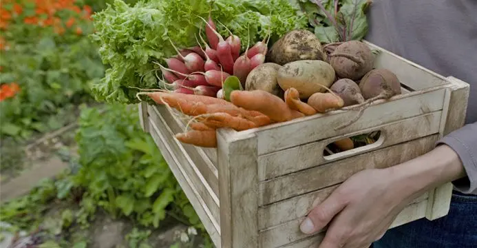 Haigh's Farm Shop