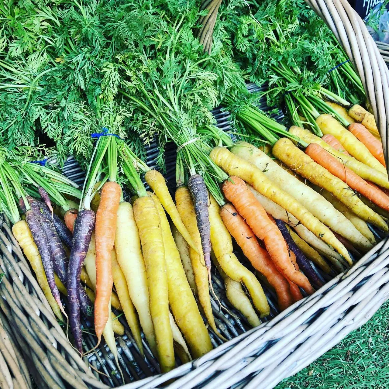 Colmans Farm