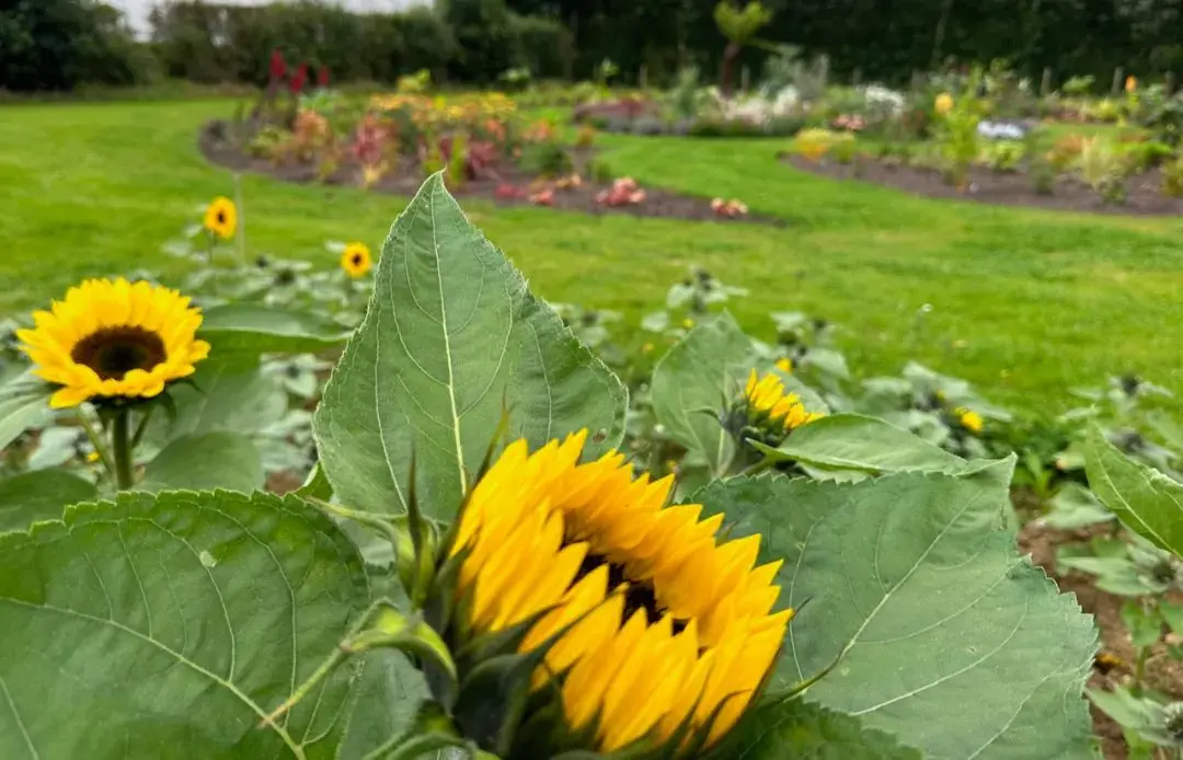 Mitchell Fruit Garden & Cafe