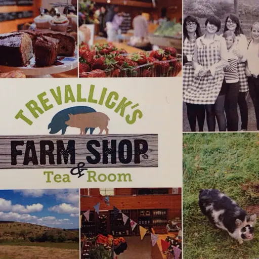 Trevallick's Farm Shop logo