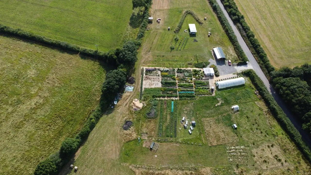 Trigon Farm
