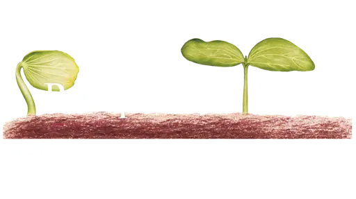 The Prospects Trust (Snakehall Farm) logo