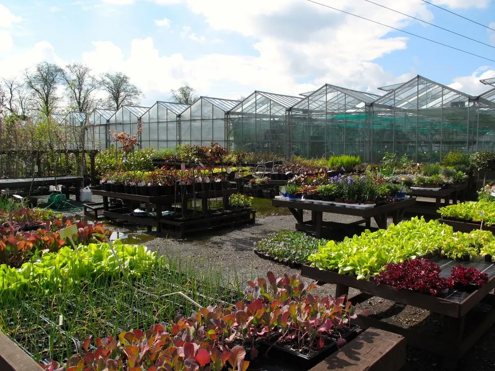 Heath House Farm