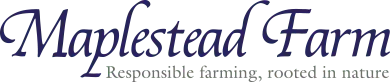 Maplestead Farm Christmas Barn logo