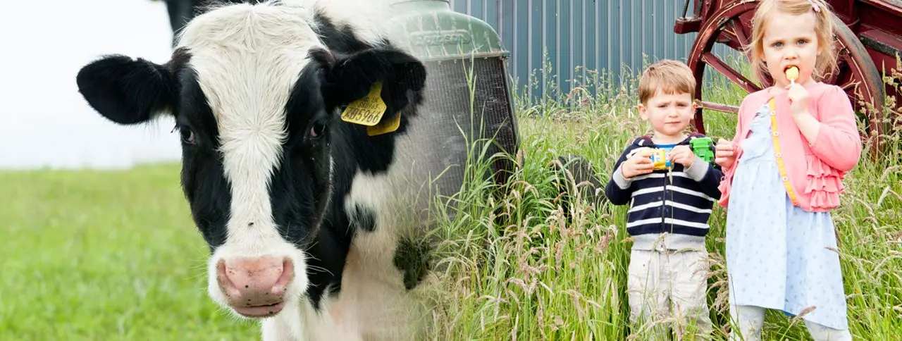 Blue Hills Farm Shop
