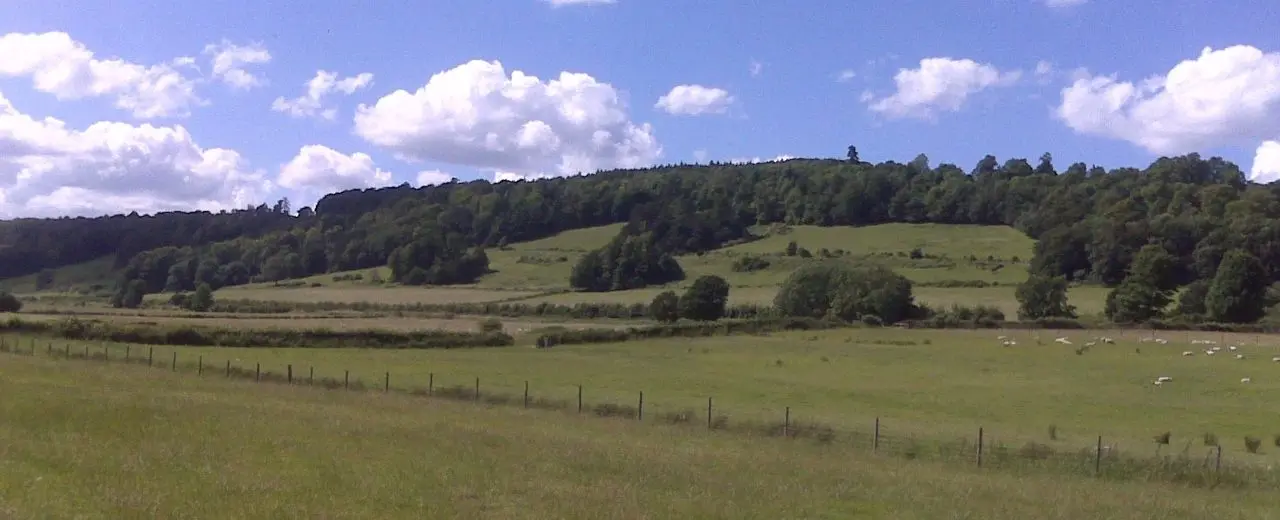 Sondes Place Farm