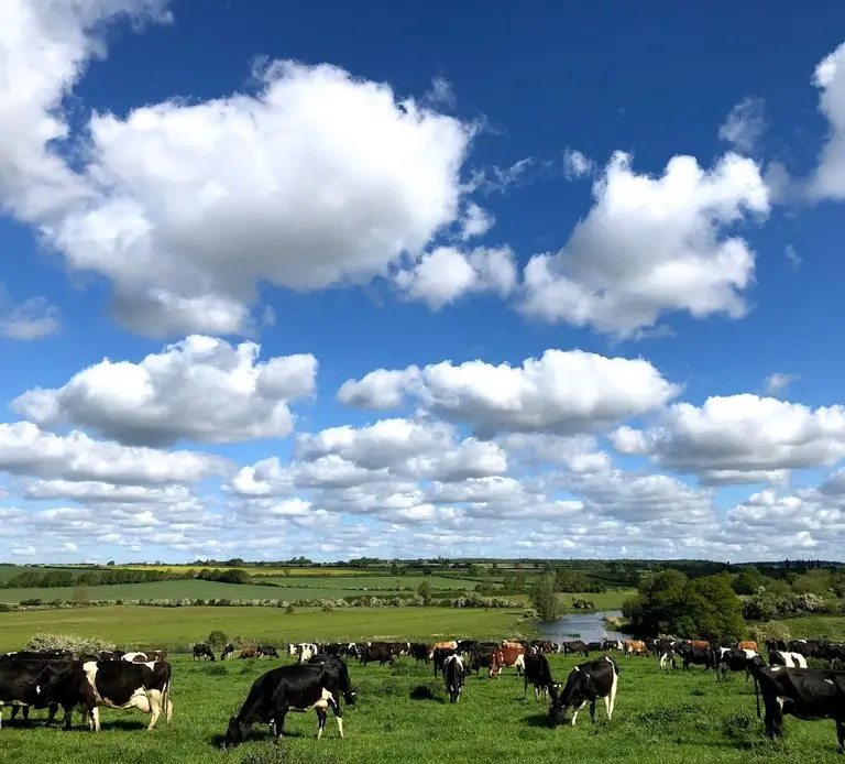 Riverside Dairy