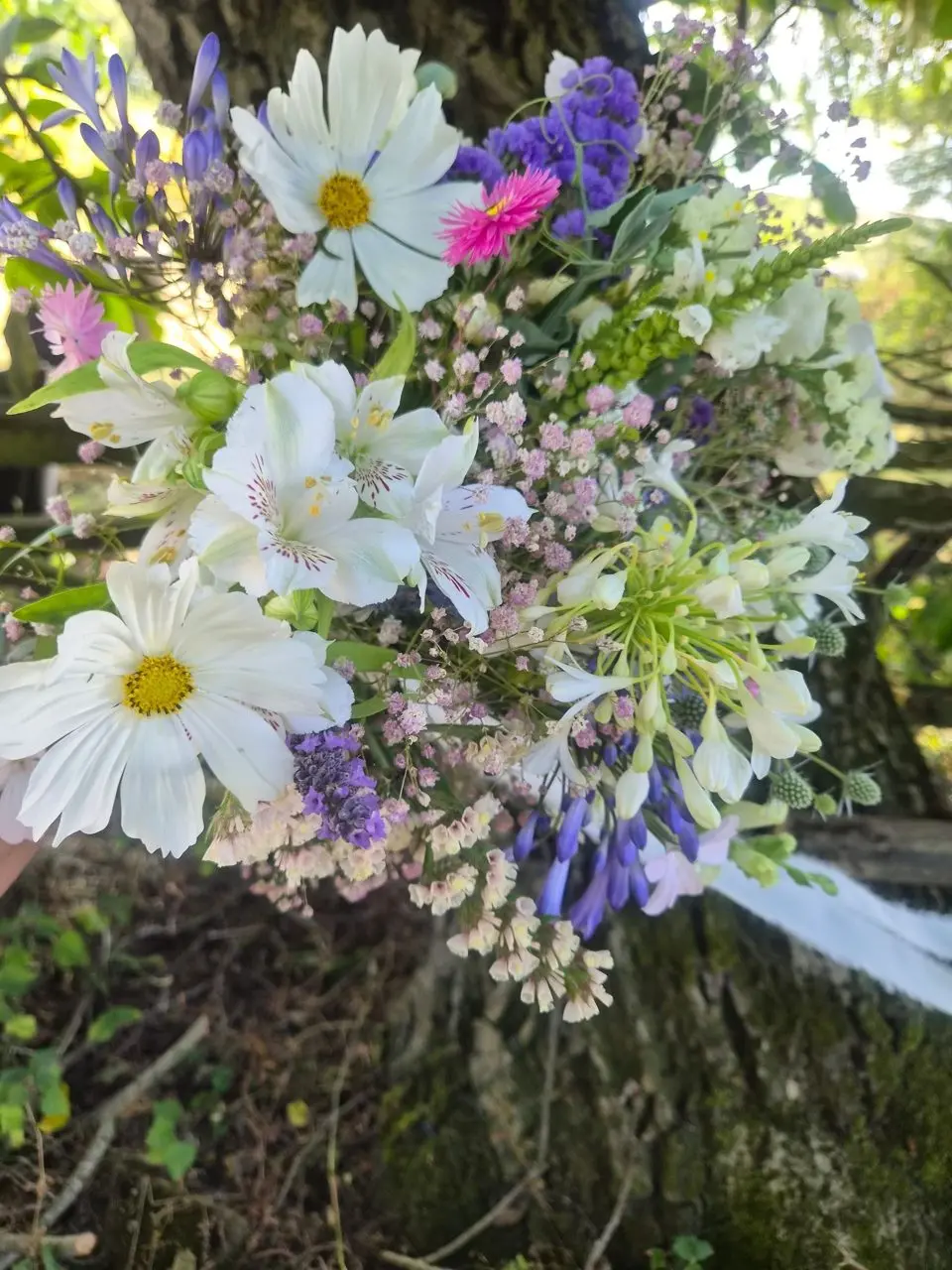 Side Farm Flowers