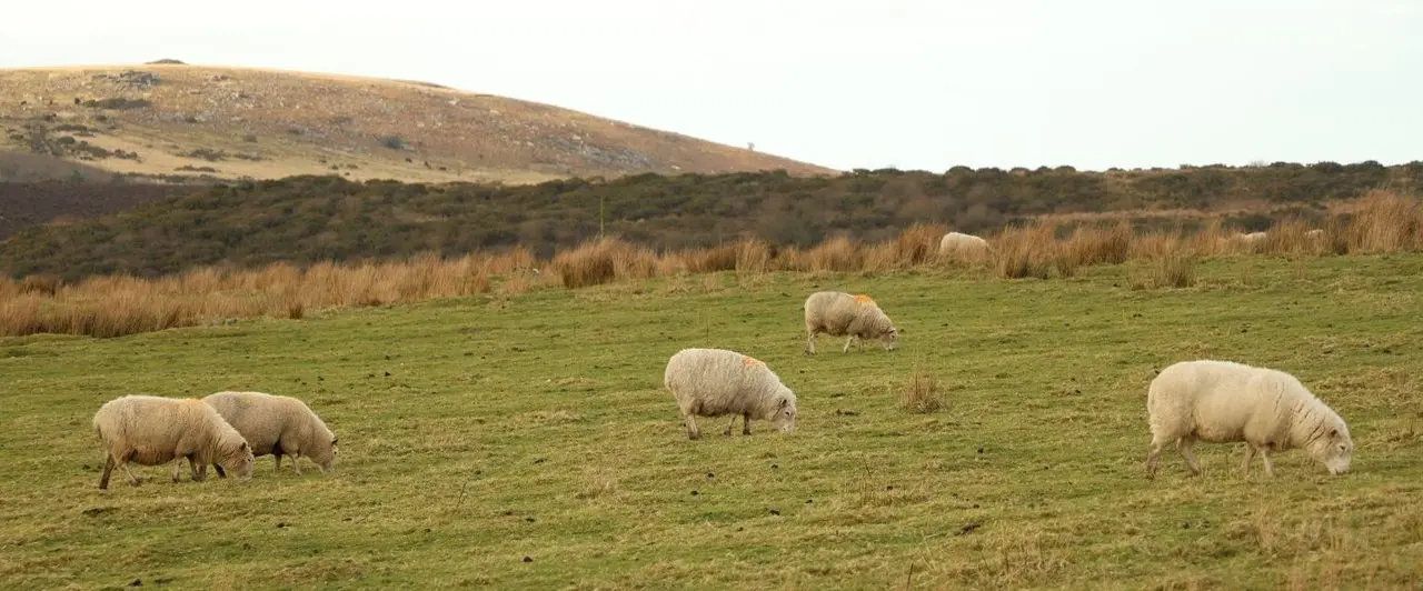 Penhale Pantry