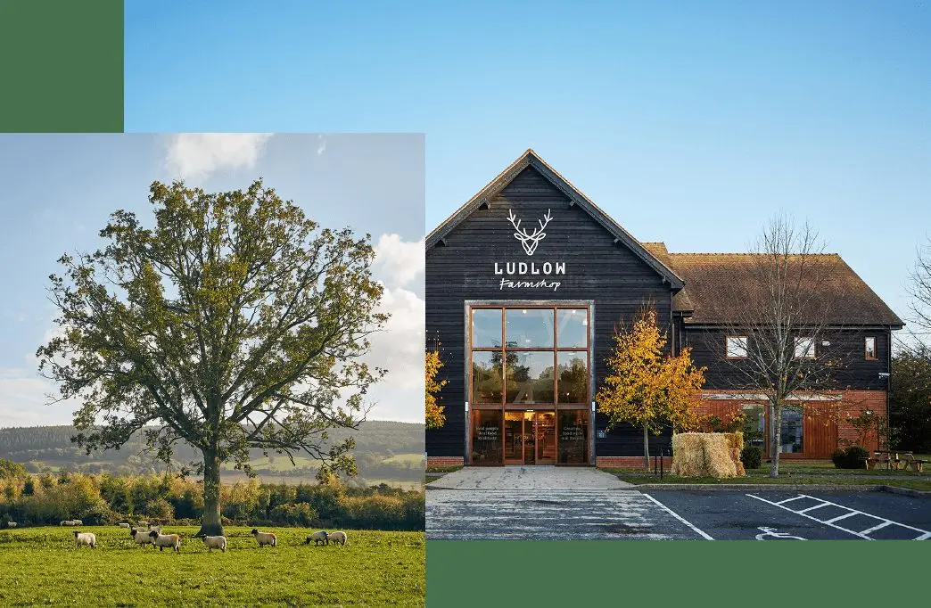 Ludlow Farmshop