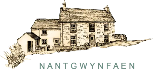 Nantgwynfaen Organic Farm Accommodation & Farm Shop logo