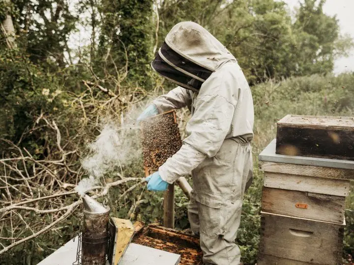 Afon Mêl Honey Farm & Meadery