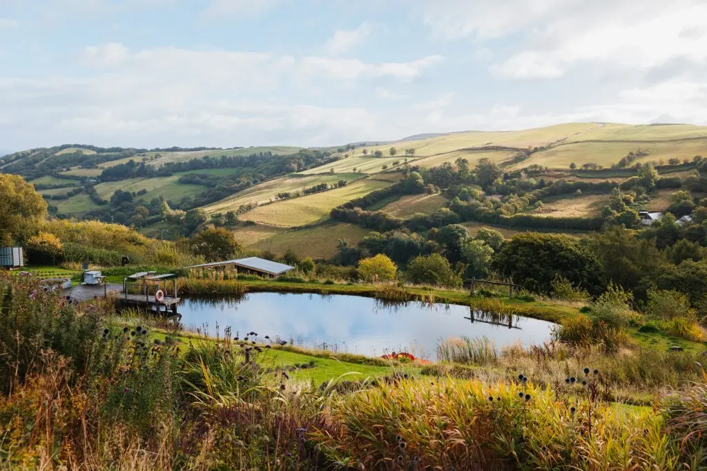 Welsh Lavender Ltd (trading as FARMERS')