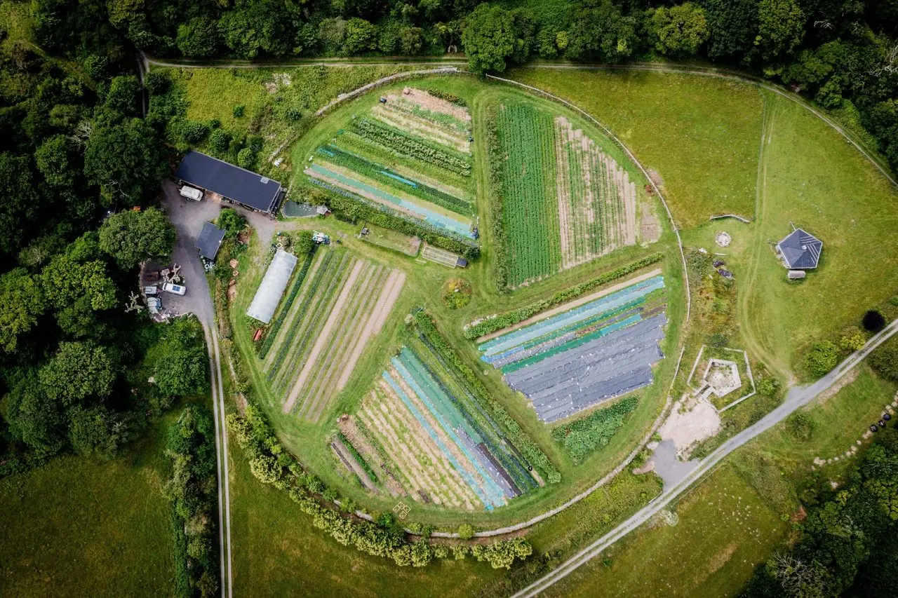 Pandy Farm