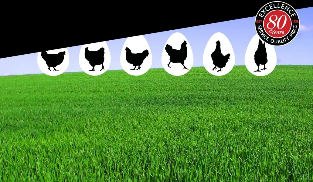 Greenways Eggs