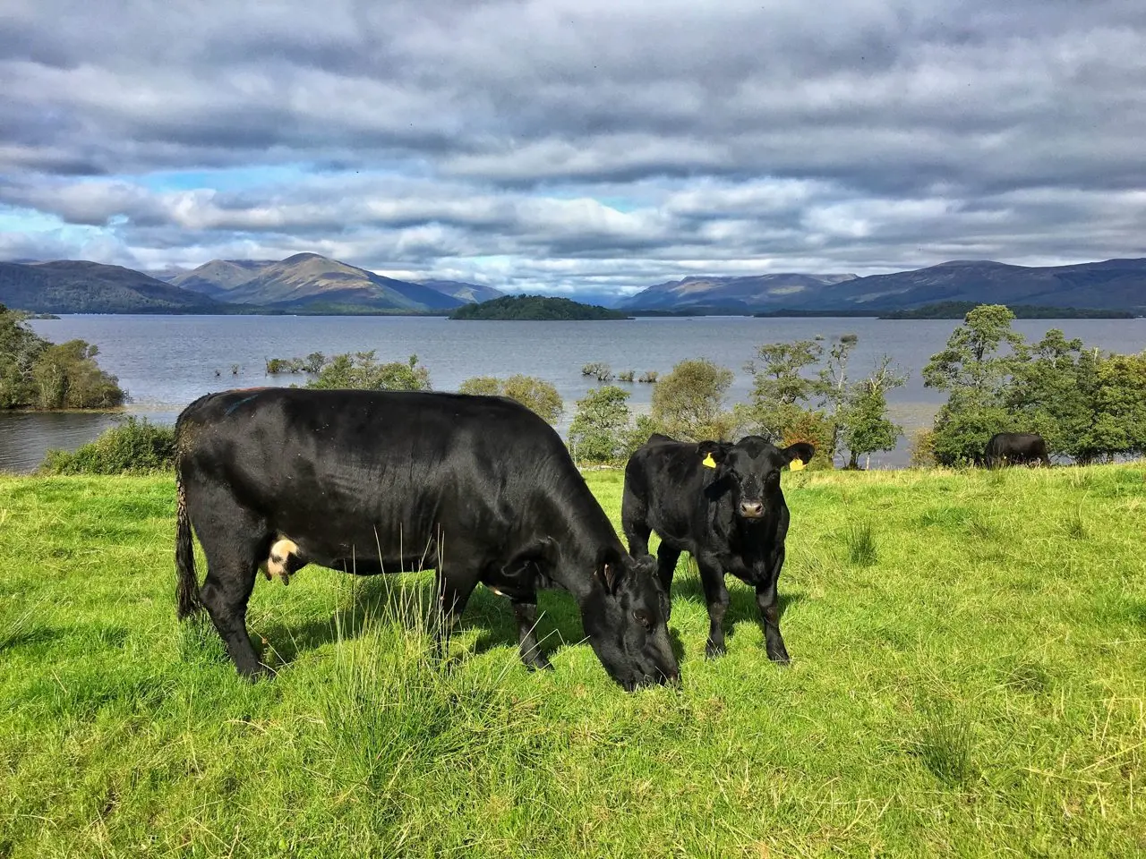 Portnellan Farm
