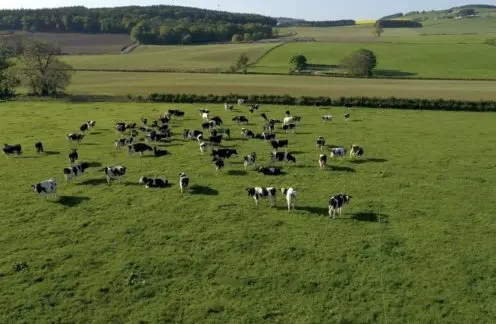 Forest Farm Dairy