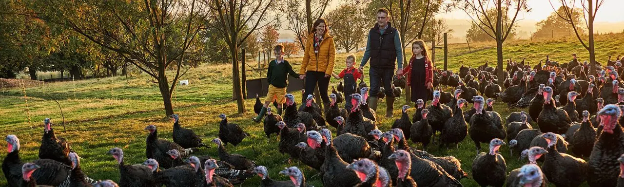 South Powrie Farm