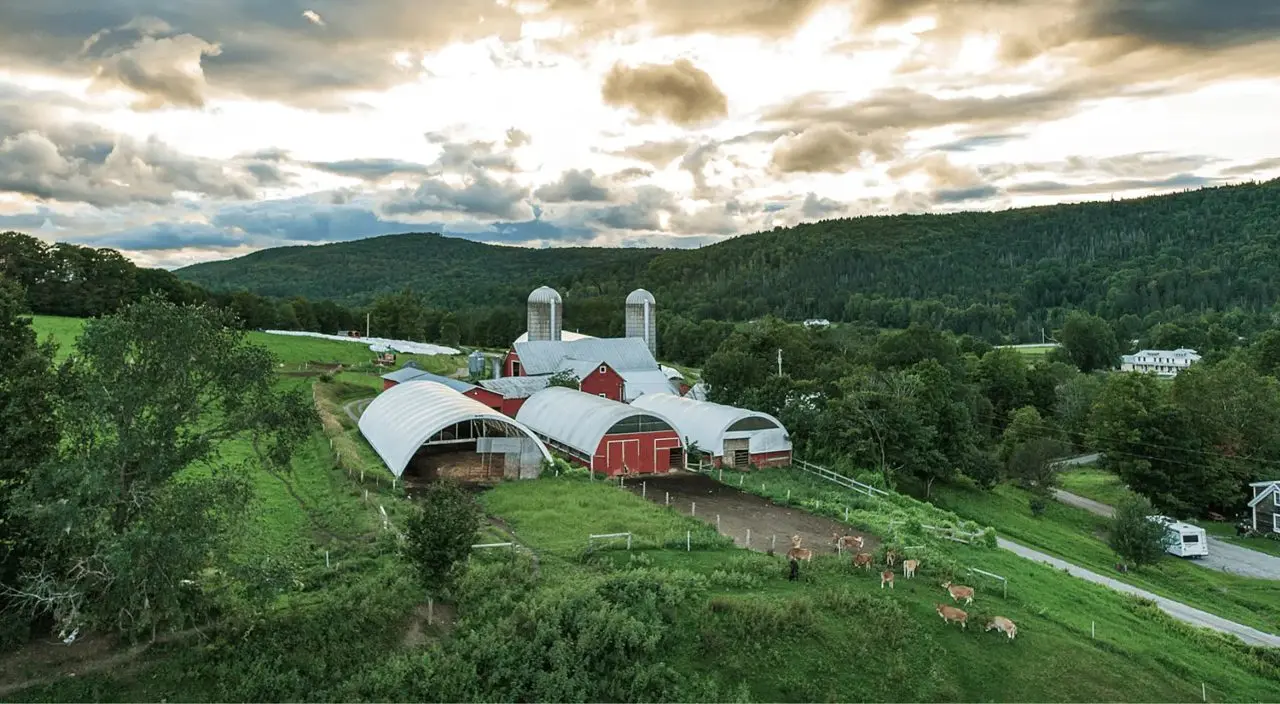 Stonyfield Fresh Farm Produce