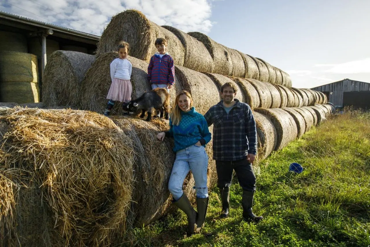 Farm Ness