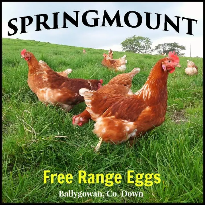 Springmount Farm