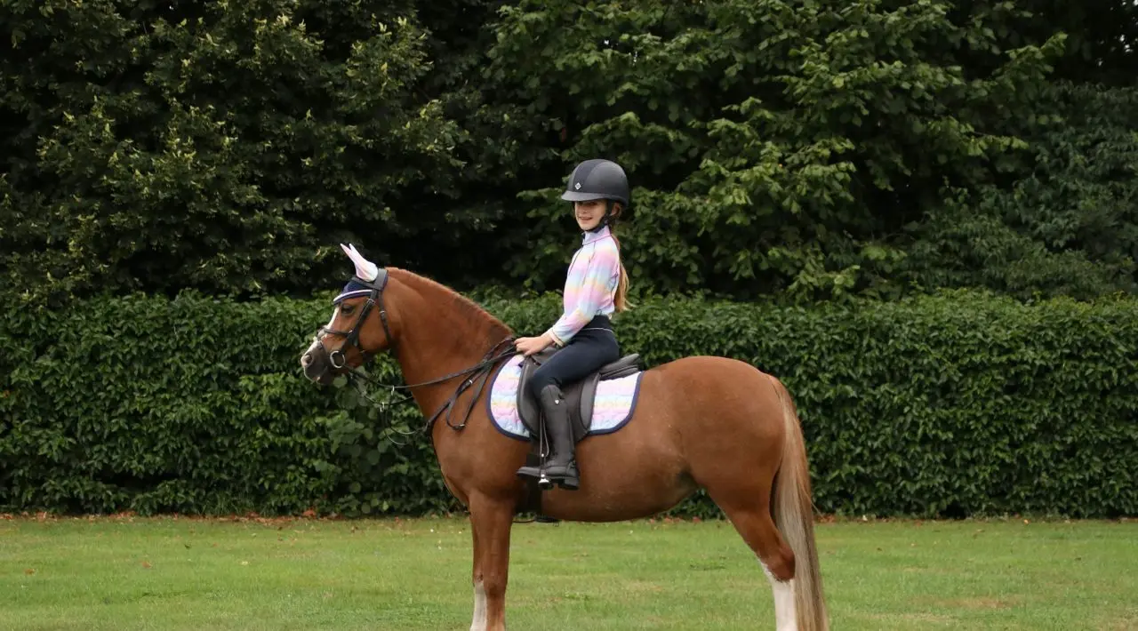 Chambers Farm & Equestrian Store (W&J Chambers)
