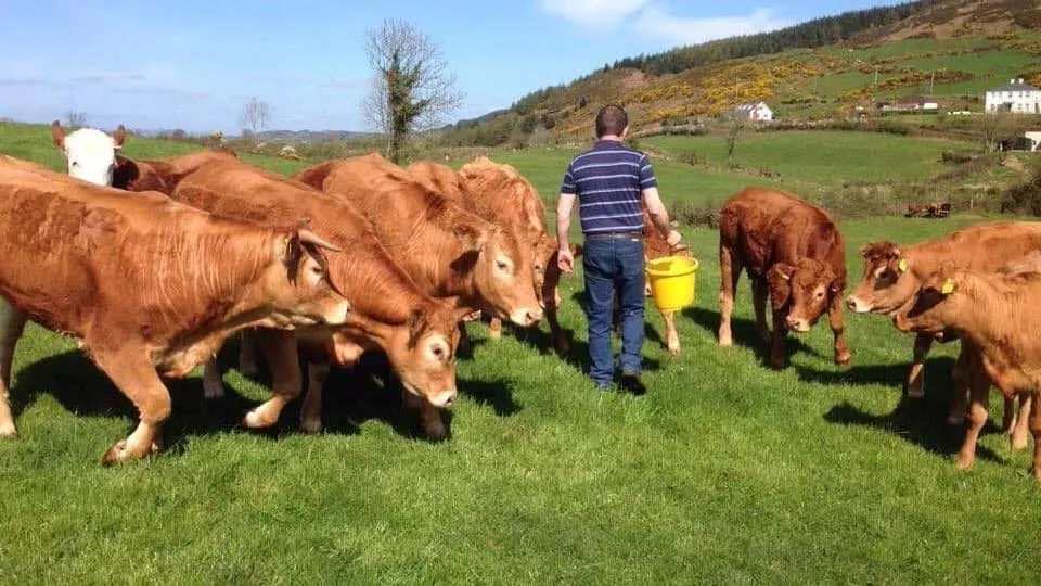 Clarkhill Farm