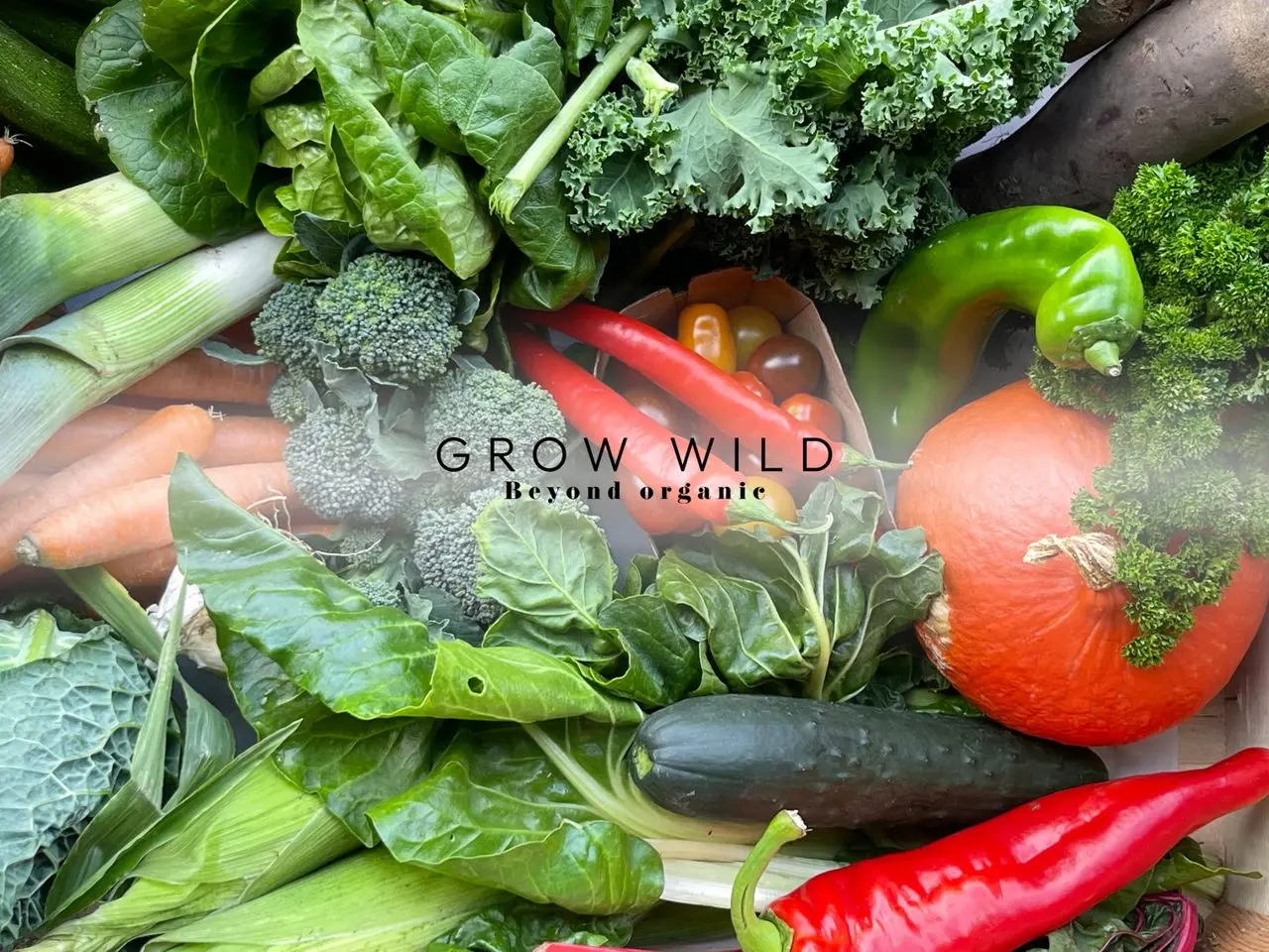 Grow Wild (Bonnytoun Farm)