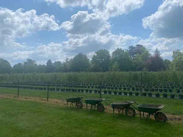 Hawkswick Fruit Farm (Hawkswick Lodge Farm)