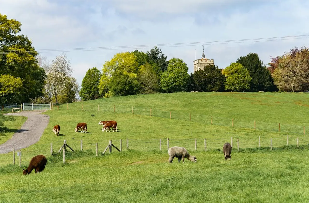 Tewinbury Farm Shop