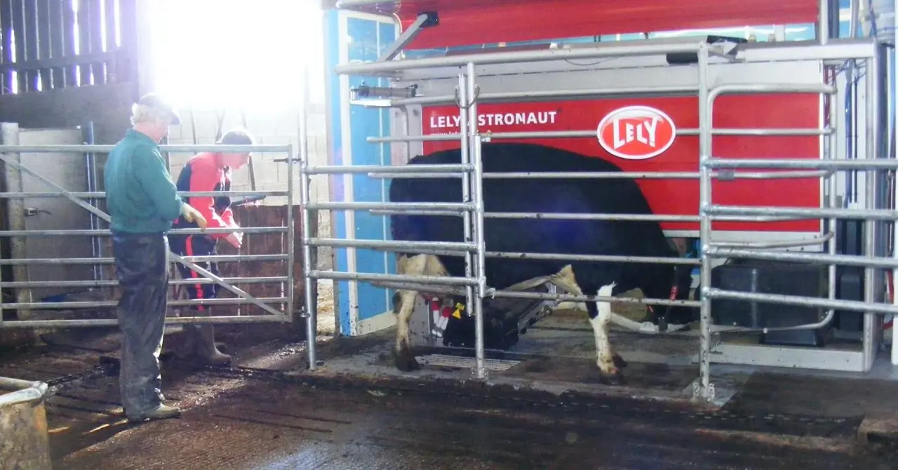 Hauxley Farm Dairy