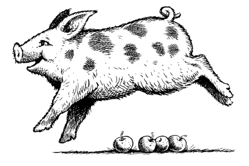 Saxby's Cider logo
