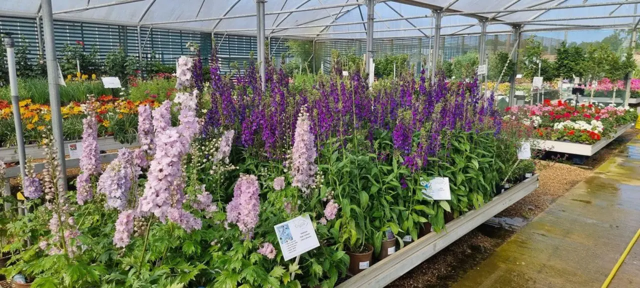 Cuckoo Bridge Nursery & Farm Shop
