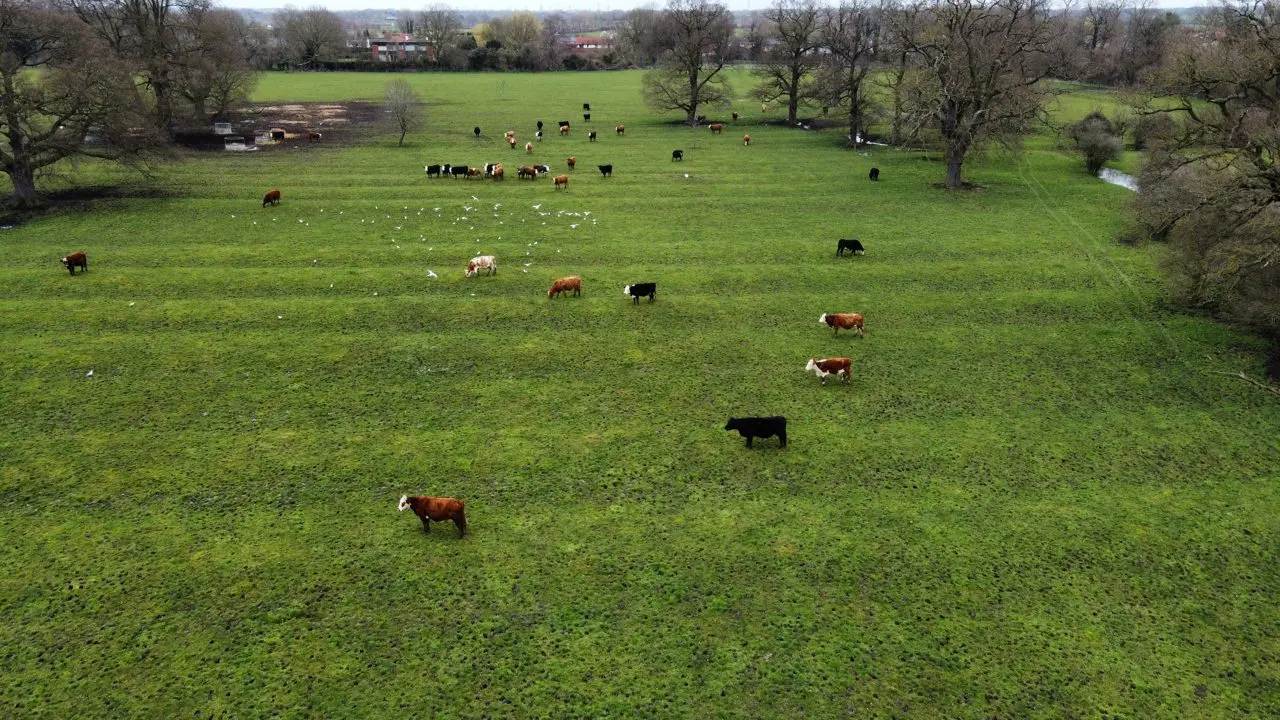 Knotts of Tempsford