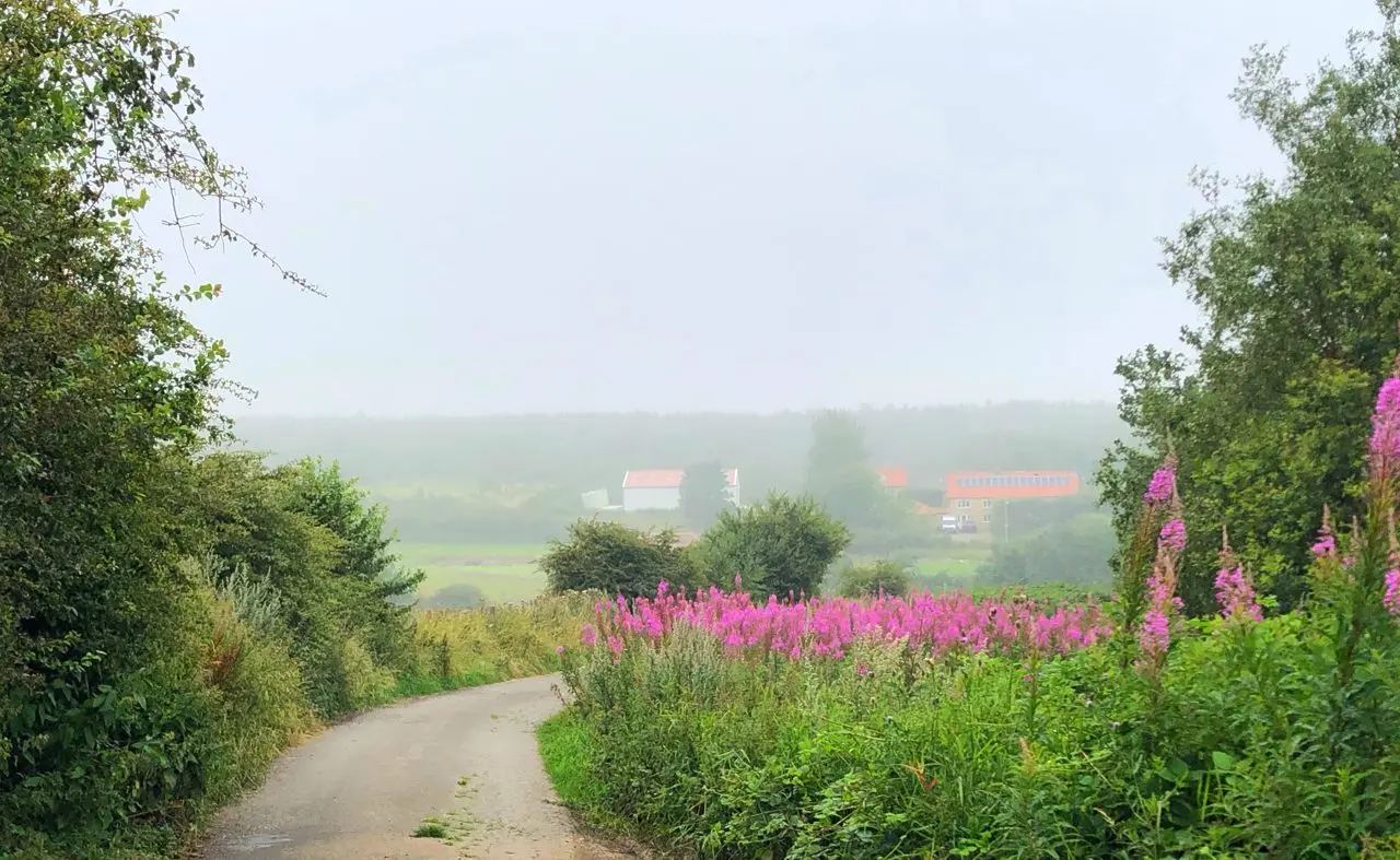 Dalton Moor Farm (The Vegan Fruit Farm)
