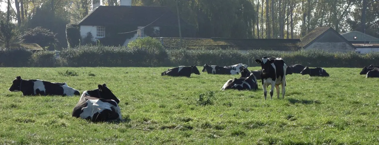 Bradfields Farm Dairy