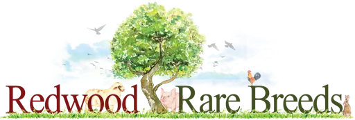 Redwood Rare Breeds logo