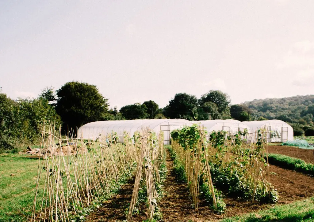 Five Acre Farm