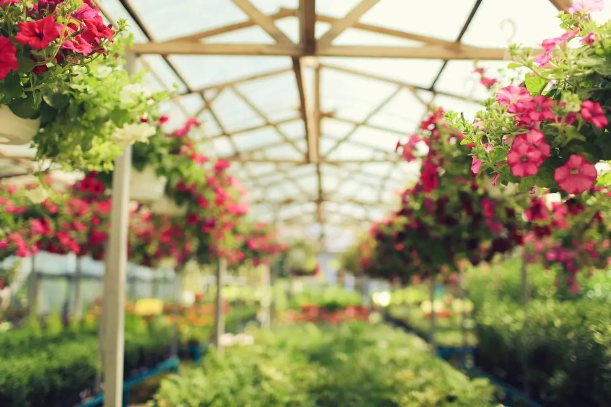 Finchley Nurseries Garden Centre