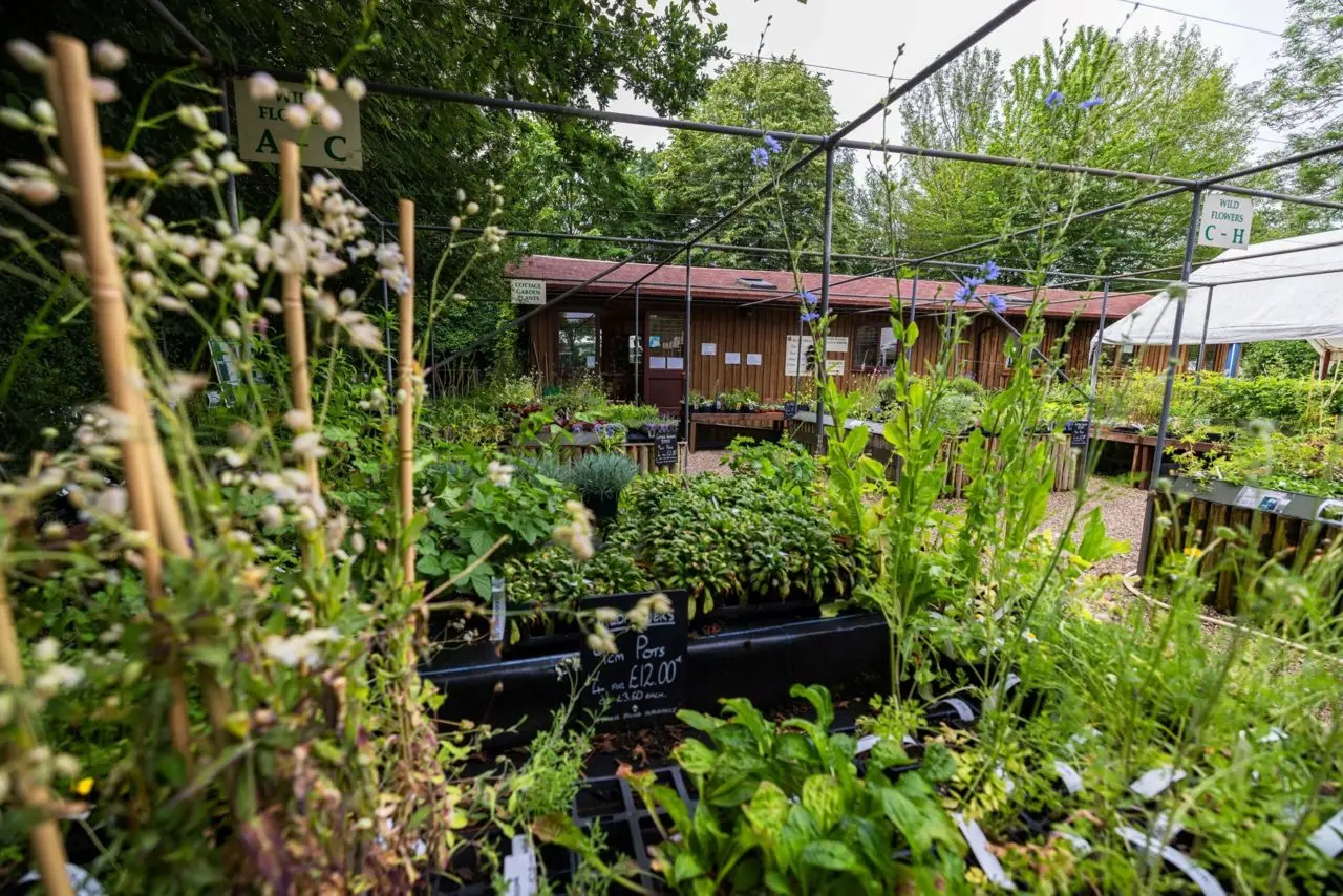 Naturescape Wildflower Farm