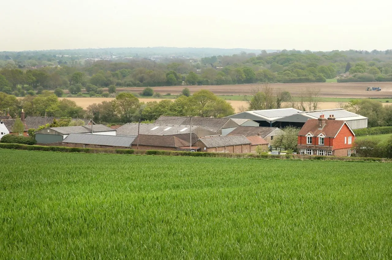 Westons Farm Shop